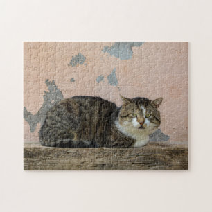 Puzzle Un gato delante de un viejo muro