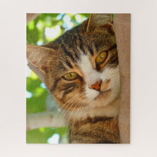 Puzzle Un gato lindo trepando un árbol