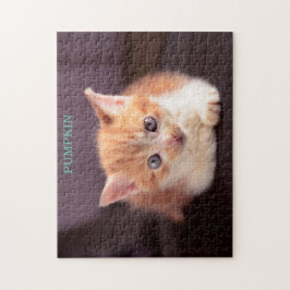 Puzzle Un gato Naranja sobre el Naranja otomano negro Kit
