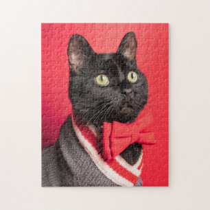 Puzzle Un gato negro blanco en el atajo de oso sobre rojo
