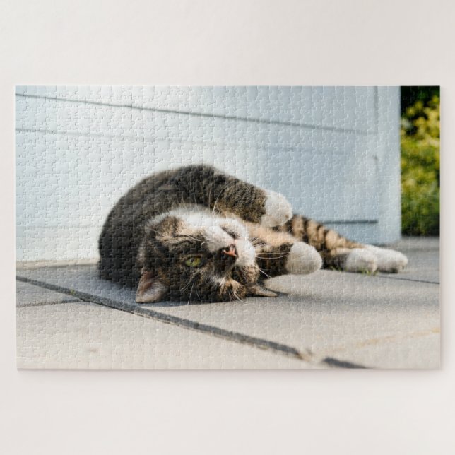Puzzle Un gato perezoso tumbado en el porche (Horizontal)