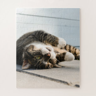 Puzzle Un gato perezoso tumbado en el porche