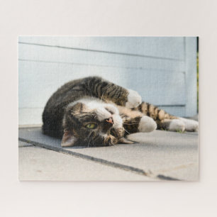 Puzzle Un gato perezoso tumbado en el porche