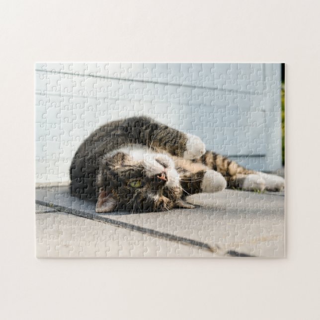 Puzzle Un gato perezoso tumbado en el porche (Horizontal)