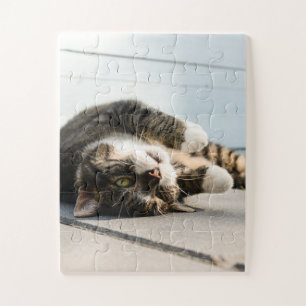 Puzzle Un gato perezoso tumbado en el porche
