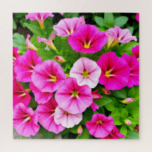 Puzzle Un grupo impresionante de petunias rosas.