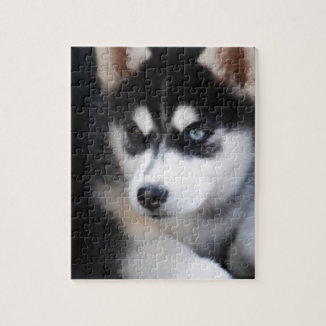 Puzzle Un husky siberiano hermoso 2 del ojo azul (Vertical)
