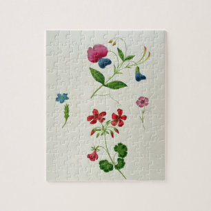 Puzzle Un ilustracion 'de un nuevo tratado en la flor Pai