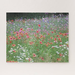 Puzzle "Un jardín de flores silvestres"