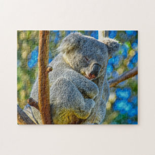 Puzzle Un Koala durmiendo tranquilamente en un árbol