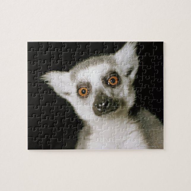 Puzzle Un lemur. (Horizontal)