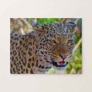 Puzzle Un leopardo salvaje africano.