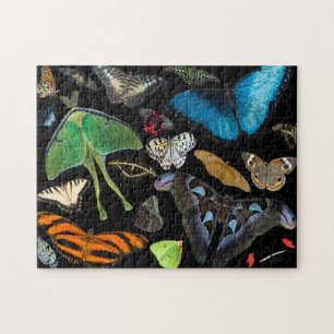 Puzzle Un mundo de mariposas y de polillas