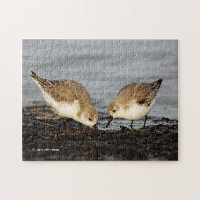 Puzzle Un par de acciones de Sanderlings (Horizontal)