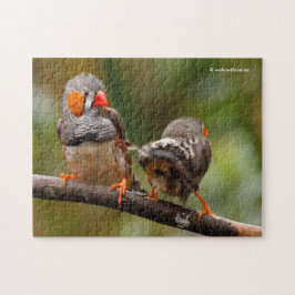 Puzzle Un par de cebras baratas