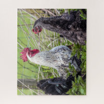 un par de cócteles coloridos