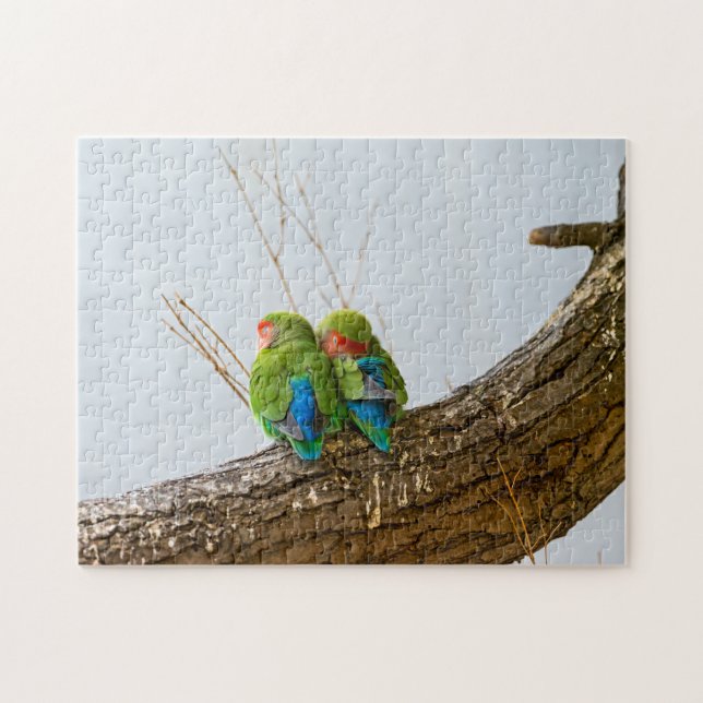 Puzzle Un par del Lovebird en una rama (Horizontal)
