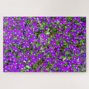 Puzzle Un pasaje de pansitas moradas sobre una bella