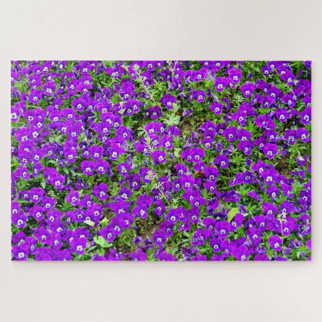 Puzzle Un pasaje de pansitas moradas sobre una bella (Horizontal)