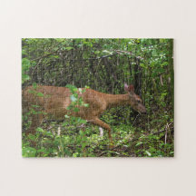 Un paseo a través de las maderas