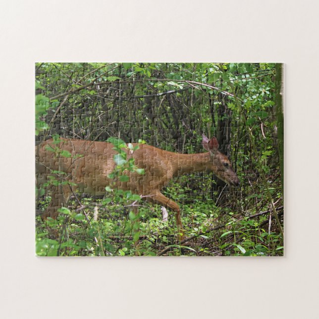 Puzzle Un paseo a través de las maderas (Horizontal)