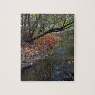 Puzzle Un paseo en Wildwood