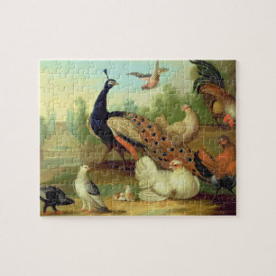 Puzzle Un pavo real, palomas, pollos y un Jay en un