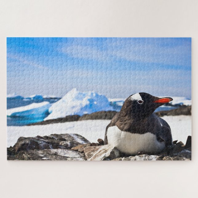 Puzzle Un Pingüino De Gentoo Que Está Sobre Las Rocas De  (Horizontal)