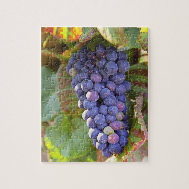 Puzzle Un racimo de uvas Pinot Noir en un Chambertin (Vertical)