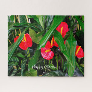 Puzzle Un regalo de Navidades para MI Mamá.