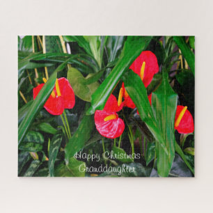 Puzzle Un regalo de Navidades para mi nieta.