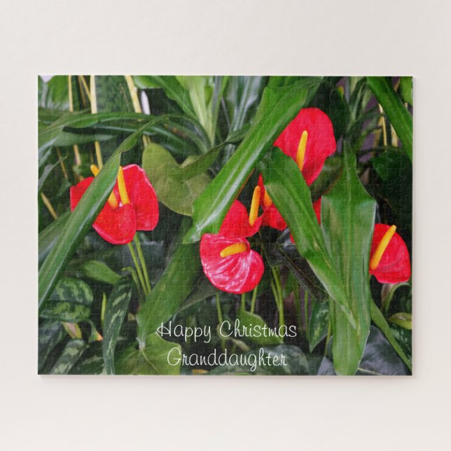 Puzzle Un regalo de Navidades para mi nieta. (Horizontal)