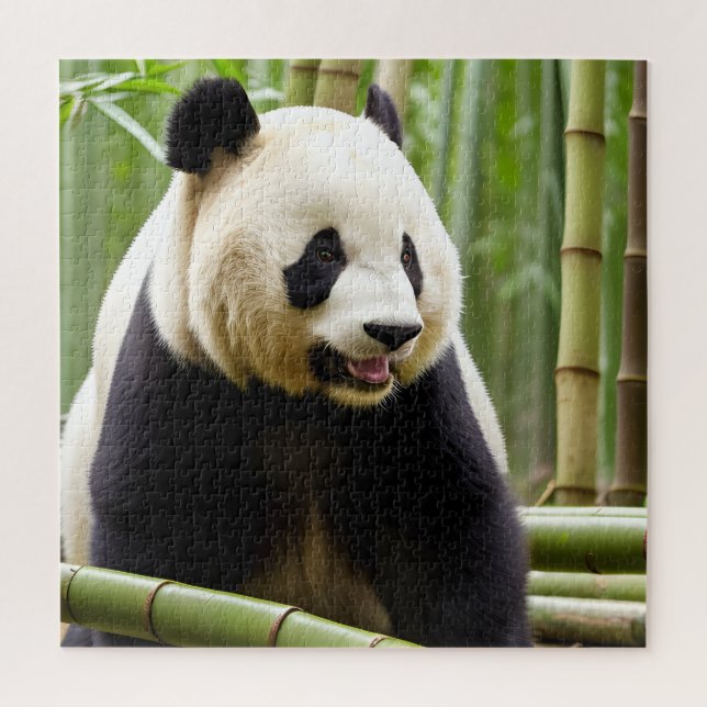 Puzzle Un retrato de primer plano de un panda (Vertical)