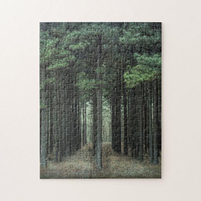 Puzzle Un sendero forestal - Nuevo crecimiento - Árboles  (Vertical)