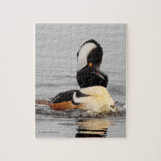 Puzzle Un Sorprendente Pato Merganser Capuchado (Vertical)