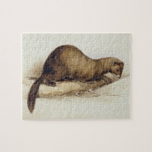 Puzzle Una comadreja, 1832 (w/c, ove de la pluma, de la (Horizontal)
