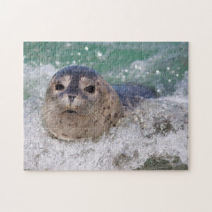 Puzzle Una cría de foca haciendo surf