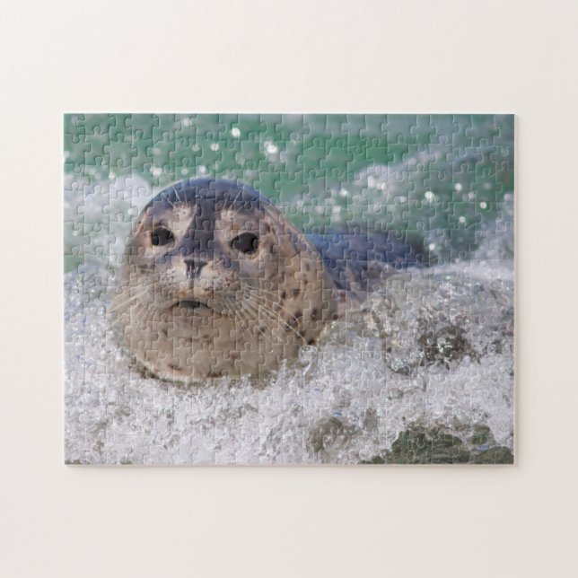 Puzzle Una cría de foca haciendo surf (Horizontal)
