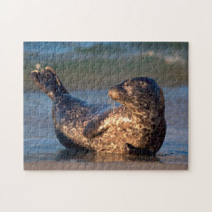 Puzzle Una cría de foca levantando la cola