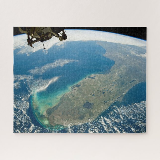 Puzzle Una Florida Oblíque, En La Costa Sureste (Horizontal)