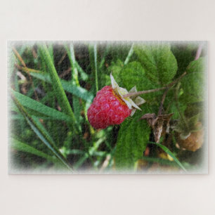 Puzzle Una frambuesa madura