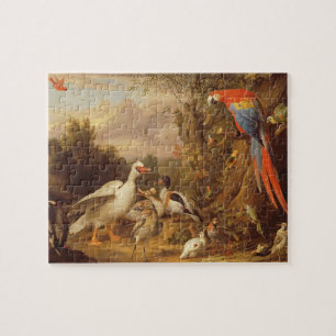 Puzzle Una macana, patos, loros y otras aves en tierra