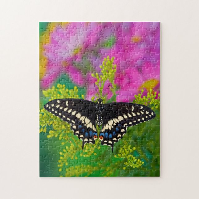 Puzzle Una Mariposa Cola de Golondrina Aterrizando (Vertical)