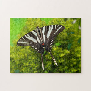 Puzzle Una mariposa cola de golondrina norteamericana