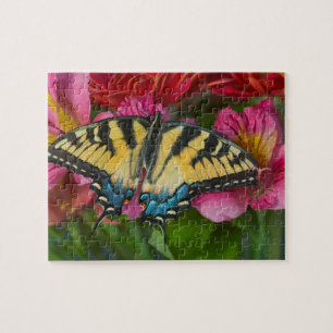 Puzzle Una mariposa cola de golondrina tigre