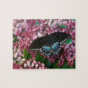 Puzzle Una Mariposa de Azufre En La Familia Phoebis