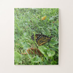 Puzzle Una mariposa monarca