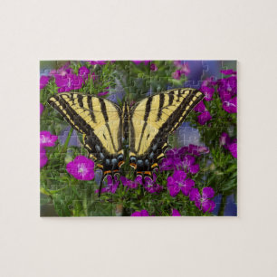 Puzzle Una mariposa vicerrey sobre flores rosa oscuro