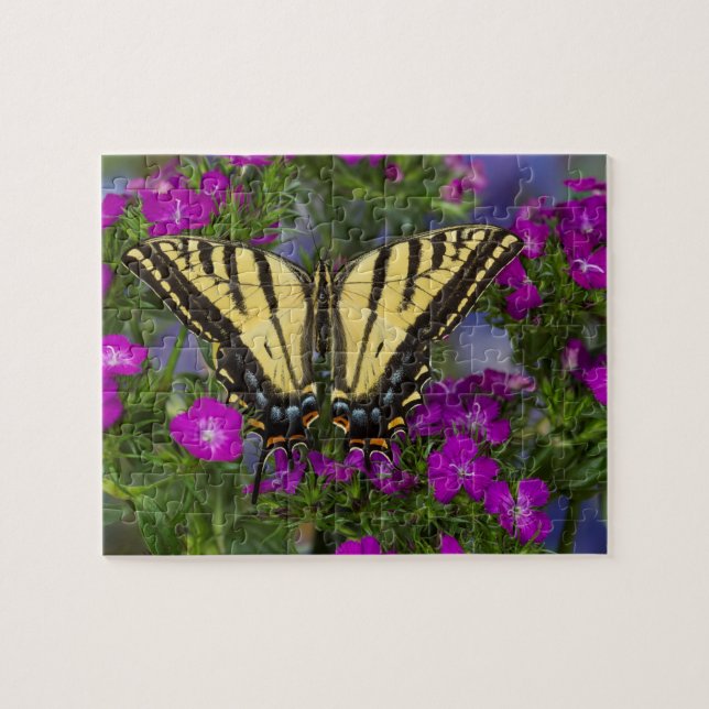 Puzzle Una mariposa vicerrey sobre flores rosa oscuro (Horizontal)