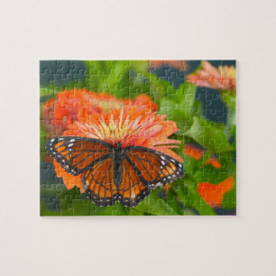 Puzzle Una mariposa virrey en zinnias naranjas